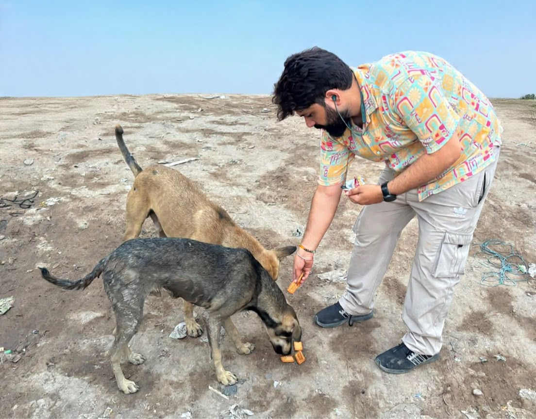 Animal Feeding